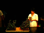Federacion Mexicana de Bonsai, Femexbo 2004