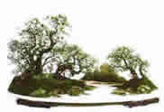origen del bonsai